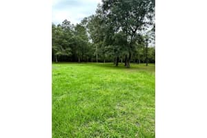 RACKLEY RD, BROOKSVILLE, FL 34604 - MLS#MFRA4627690