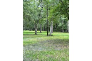 RACKLEY RD, BROOKSVILLE, FL 34604 - MLS#MFRA4627690