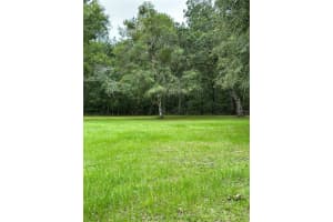 RACKLEY RD, BROOKSVILLE, FL 34604 - MLS#MFRA4627690