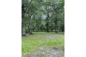 RACKLEY RD, BROOKSVILLE, FL 34604 - MLS#MFRA4627690