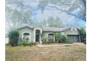 2502 BUCKHORN TRACE COURT, VALRICO, FL 33594 Sold 12/16/24