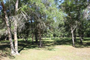 3391 RACKLEY ROAD, BROOKSVILLE, FL 34604 - MLS#MFRA4628370