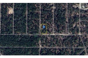 1482 154TH COURT, OCALA, FL 34481 Sold 12/19/24