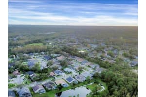 10031 COLONNADE DRIVE, TAMPA, FL 33647 Sold 01/21/25