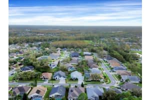10031 COLONNADE DRIVE, TAMPA, FL 33647 Sold 01/21/25