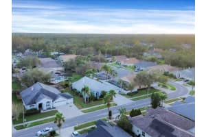 10031 COLONNADE DRIVE, TAMPA, FL 33647 Sold 01/21/25