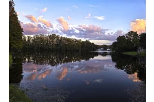 524 OLD GROVE DRIVE, LUTZ, FL 33548 Sold 02/26/25