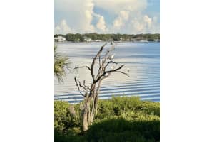 1010 TIDEWATER SHORES LOOP, BRADENTON, FL 34208 Sold 07/24/25