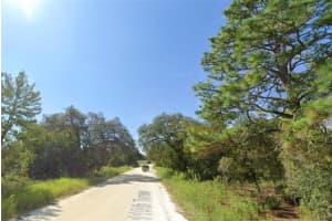 0 119TH TERRACE, WILLISTON, FL 32696 - MLS#MFRA4630455