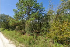 0 119TH TERRACE, WILLISTON, FL 32696 - MLS#MFRA4630455