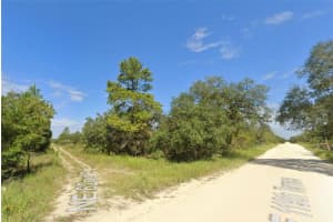 0 119TH TERRACE, WILLISTON, FL 32696 - MLS#MFRA4630455