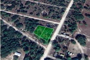 0 119TH TERRACE, WILLISTON, FL 32696 - MLS#MFRA4630455