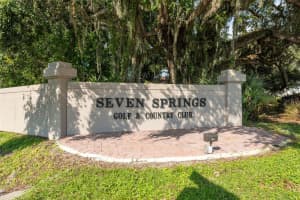 3856 TROPHY BOULEVARD, NEW PORT RICHEY, FL 34655 Sold 08/11/25