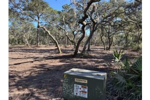 TREASURE ISLAND RD, LEESBURG, FL 34788 Sold 03/31/25