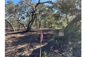 TREASURE ISLAND RD, LEESBURG, FL 34788 Sold 03/31/25