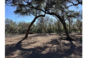 TREASURE ISLAND RD, LEESBURG, FL 34788 Sold 03/31/25
