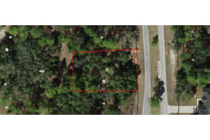 113 CYPRESS BOULEVARD, HOMOSASSA, FL 34446 Sold 07/21/25