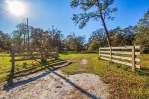 1701 WALSTON AVENUE, ARCADIA, FL 34266 - MLS#MFRA4631555