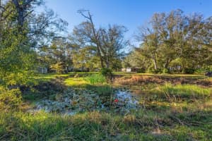 1701 WALSTON AVENUE, ARCADIA, FL 34266 - MLS#MFRA4631555