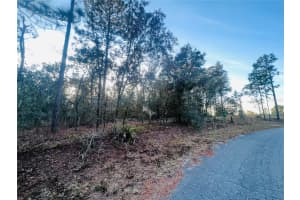 TBD 66TH LOOP, DUNNELLON, FL 34432 Sold 01/15/25