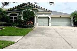 19025 FERN MEADOW LOOP, LUTZ, FL 33558 Sold 04/17/25