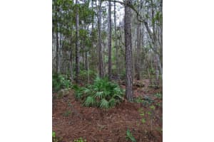 TBD 220 STREET, FORT MC COY, FL 32134 Sold 01/31/25