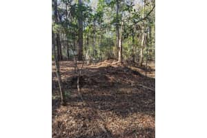 TBD 220 STREET, FORT MC COY, FL 32134 Sold 01/31/25