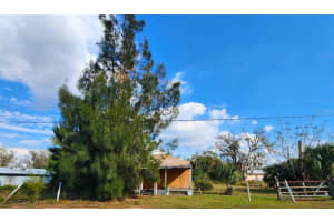 317 ALABAMA AVENUE, ARCADIA, FL 34266 Sold 06/17/25