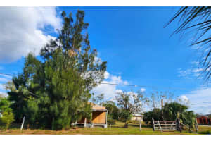 317 ALABAMA AVENUE, ARCADIA, FL 34266 Sold 06/17/25