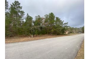 14 STATICE COURT, HOMOSASSA, FL 34446 Sold 08/11/25