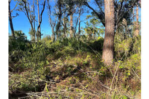 Lot 5 GRAVELMANN ROAD, NORTH PORT, FL 34291 Sold 04/02/26