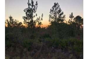 0 HERON COURT, INDIAN LAKE ESTATES, FL 33855 Sold 05/27/25
