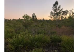 0 HERON COURT, INDIAN LAKE ESTATES, FL 33855 Sold 05/27/25