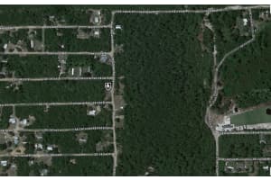 14126 209TH TERRACE, UMATILLA, FL 32784 - MLS#MFRA4635218