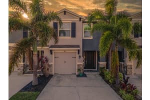 8655 STARGAZER ST, SARASOTA, FL 34238 Sold 03/05/25