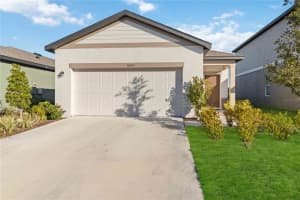 10435 Ladybug Cv, PARRISH