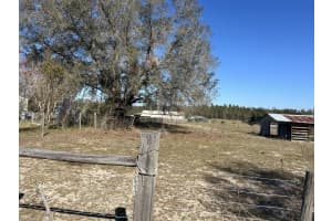 2725 SCHREFFLER ROAD, GROVELAND, FL 34736 Sold 06/12/25