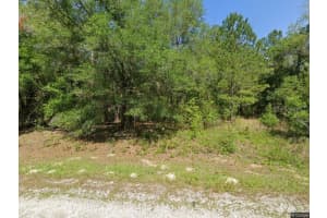 1525 BADGER DRIVE, DUNNELLON, FL 34434 Sold 02/10/25
