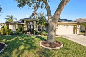8818 29TH STREET, PARRISH, FL 34219 Sold 06/17/25