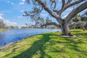 4850 SWEETSHADE DRIVE, SARASOTA, FL 34241 Sold 06/09/25