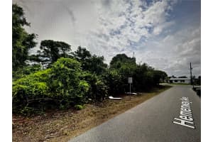 23125 HEMENWAY AVENUE, PORT CHARLOTTE, FL 33980 - MLS#MFRA4637249