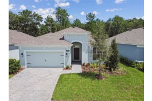 19649 FORT KING RUN, BROOKSVILLE, FL 34601 - MLS#MFRA4637283