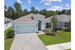 19649 FORT KING RUN, BROOKSVILLE, FL 34601 - MLS#MFRA4637283