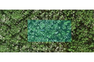 25-26-10-000000-012060 COMMONWEALTH AVENUE, POLK CITY, FL 33868 Sold 10/01/25