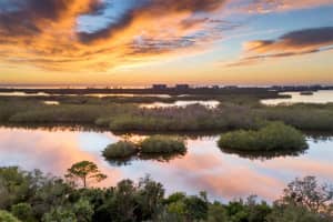393 POINT ROAD, OSPREY, FL 34229 - MLS#MFRA4638035