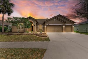 4306 DOUGLAS HILL PLACE, PARRISH, FL 34219 Sold 04/08/25