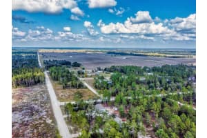 641 130TH AVENUE, WILLISTON, FL 32696 Sold 06/13/25