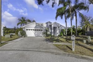 2655 OLEANDER COURT, PALM HARBOR, FL 34684 Sold 04/01/25