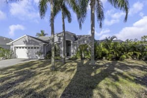 2655 OLEANDER COURT, PALM HARBOR, FL 34684 Sold 04/01/25