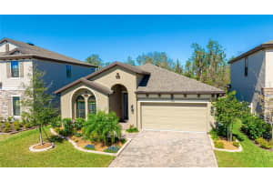 12750 OAK HILL WAY, PARRISH, FL 34219 - MLS#MFRA4639442